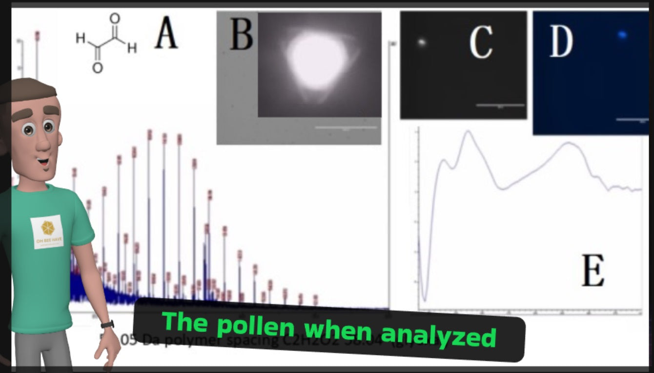 White Label ingredient MEL-RJPI (Distributor and Formulator only)