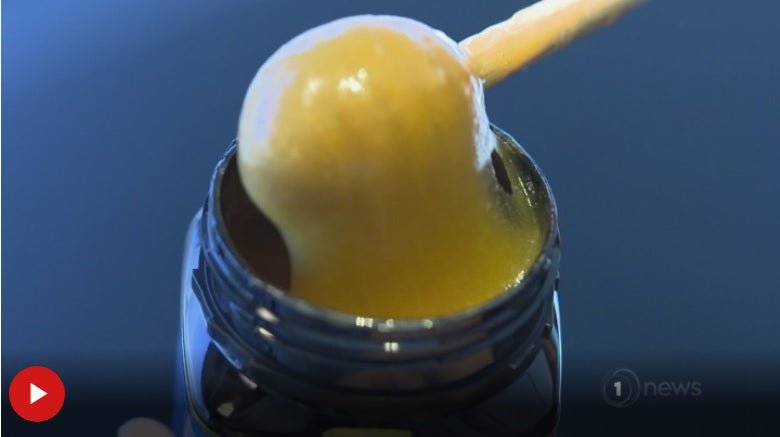 Oxford University study on honeys antibacterial and antiviral properties - OH BEE HAVE empowering healing