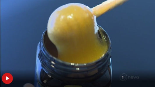 Oxford University study on honeys antibacterial and antiviral properties - OH BEE HAVE empowering healing